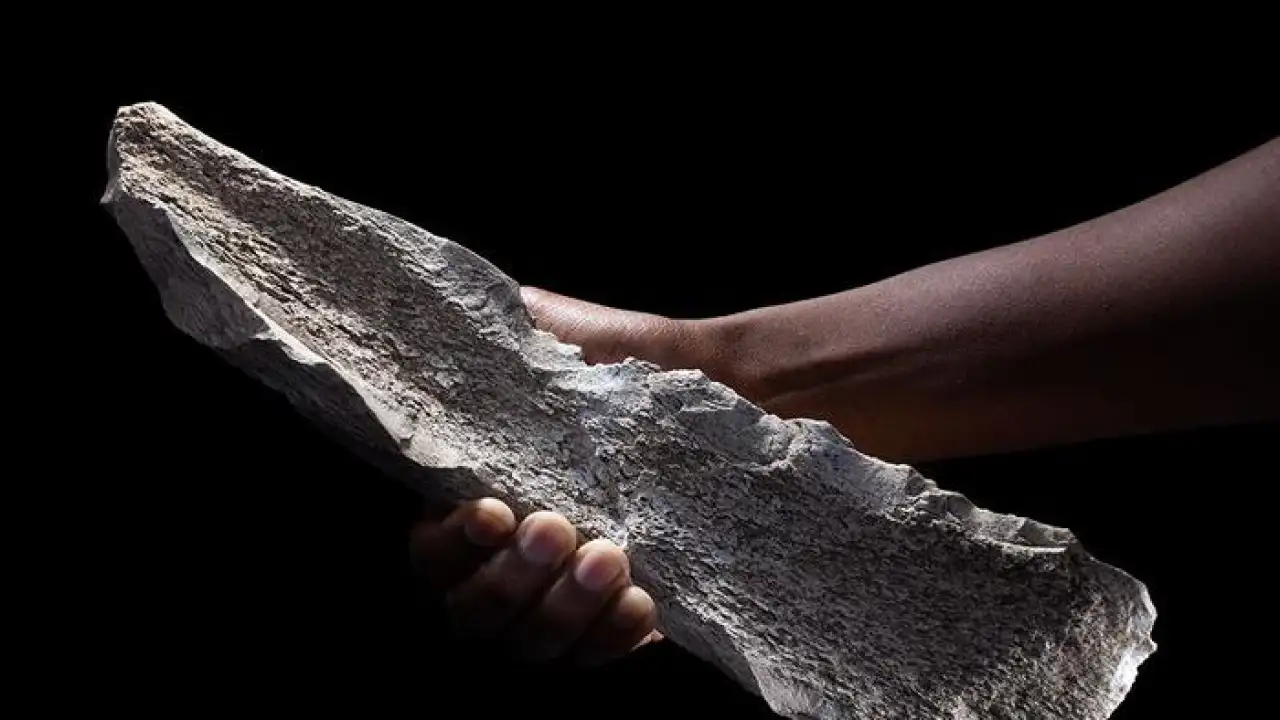 Descoperire în Europa – prima de acest gen: strămoșii noștri erau mult mai pricepuți decât se credea anterior.