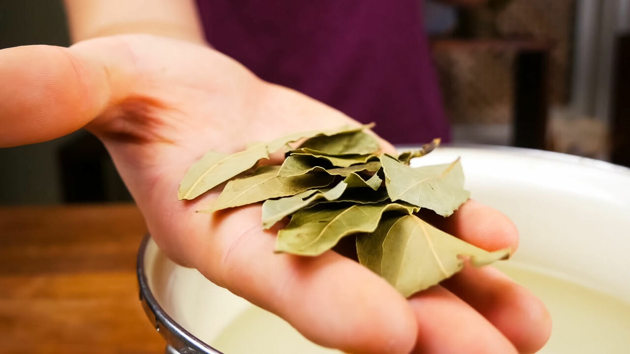 Amestecul de frunze de dafin și bicarbonat de sodiu: la ce este util și de ce este recomandat.