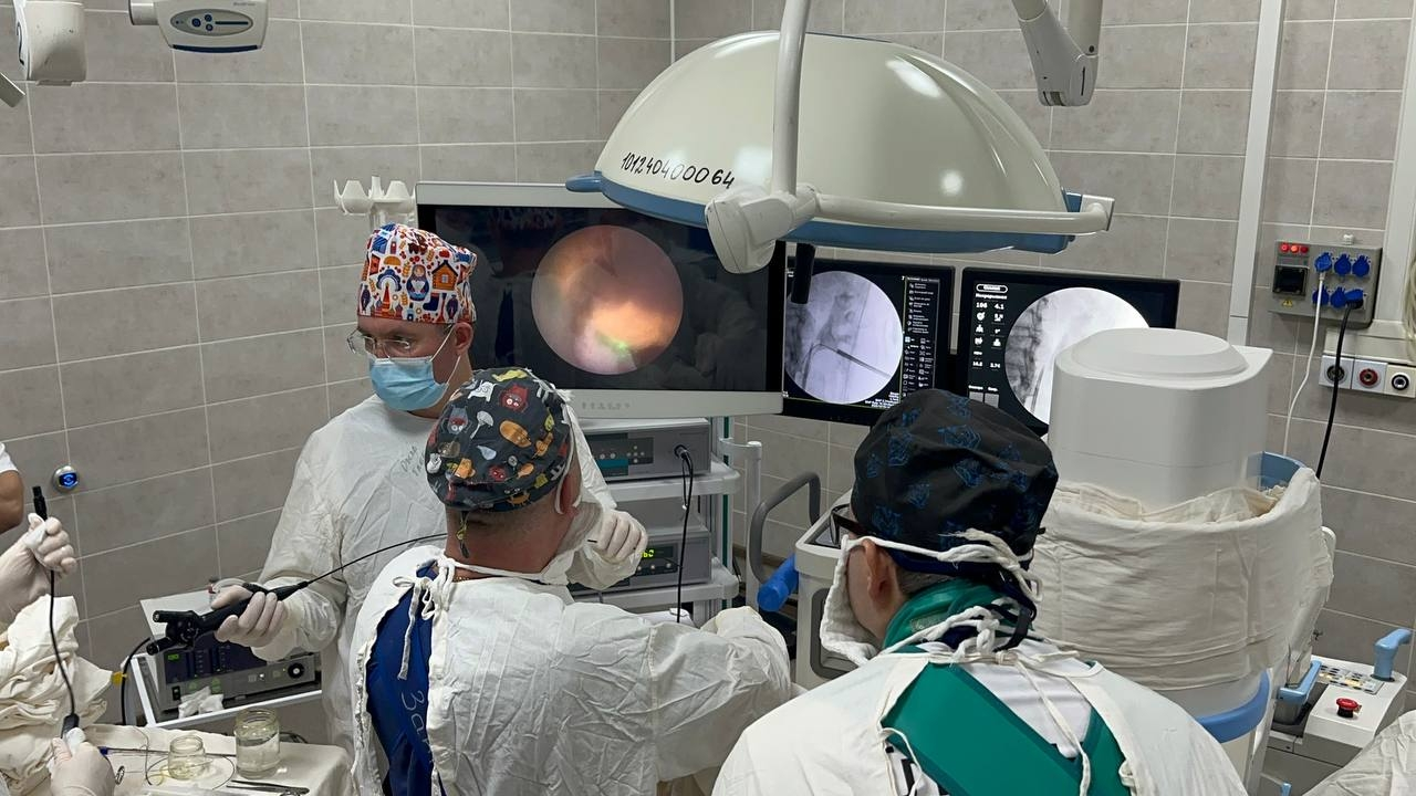 În India a fost declarată stare de alertă: au fost confirmate cinci cazuri de infectare cu virusul mortal Nipah în apropierea orașului Calcutta.