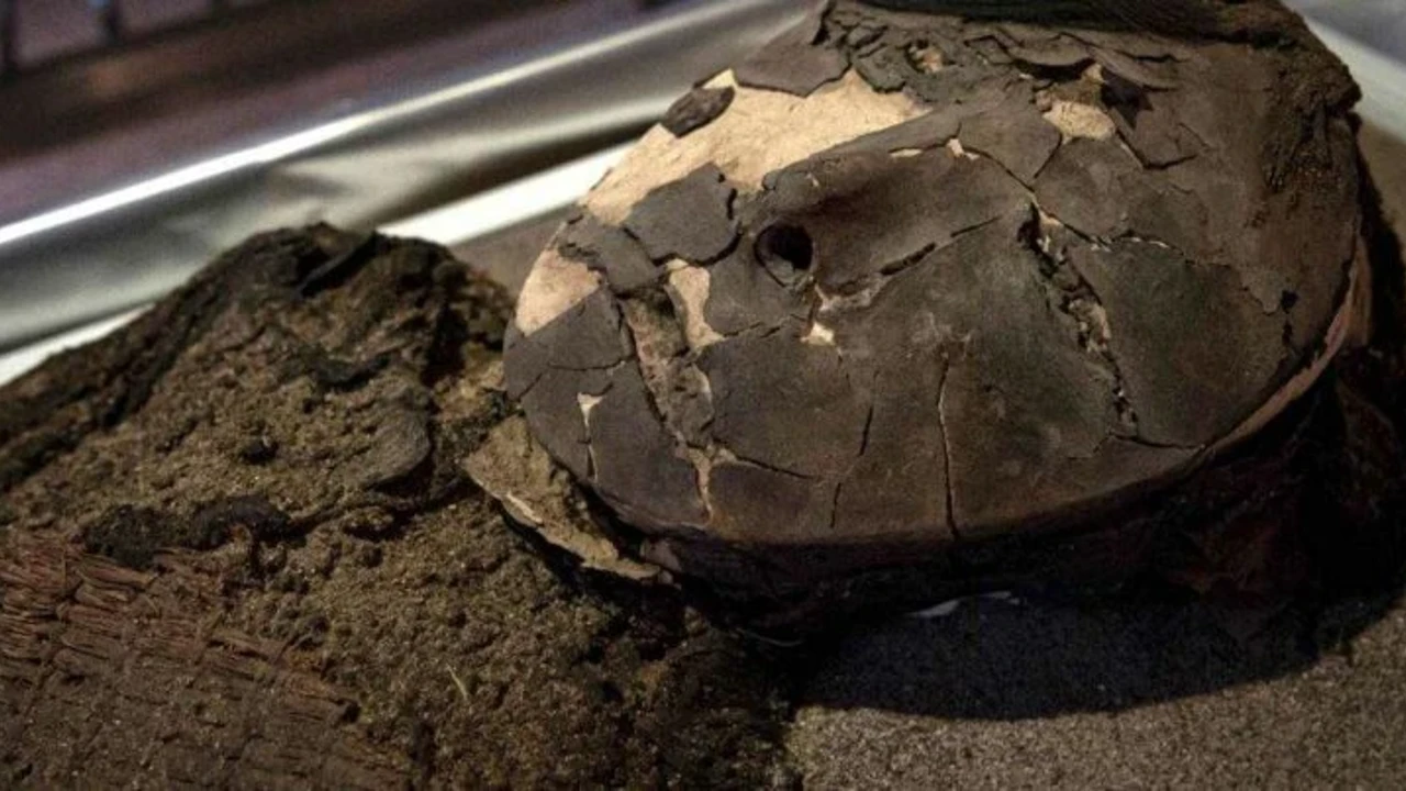 Mumiile preistorice din Atacama prezintă o particularitate anatomică neobișnuită: aceasta explică reducerea creierului după mii de ani de viață în deșert.