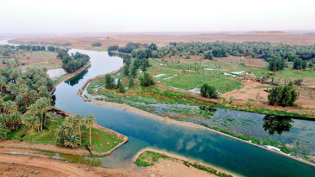 Arabia Saudită a construit un râu lung de 100 km, care izvorăște dintr-o stație de tratare a apei, și a reușit să creeze ecosisteme din nimic.