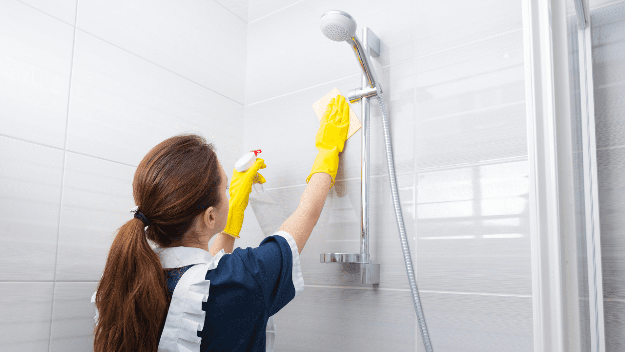 De ce există un miros neplăcut în baie, chiar și atunci când aceasta este curată, și cum să scăpați de el.