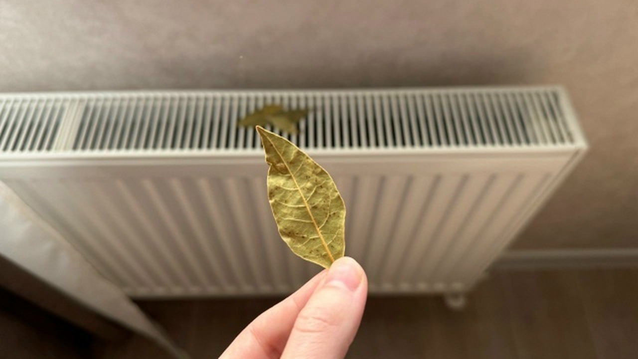 Cum să umpleți casa cu arome naturale folosind radiatorul (și 4 greșeli de evitat)