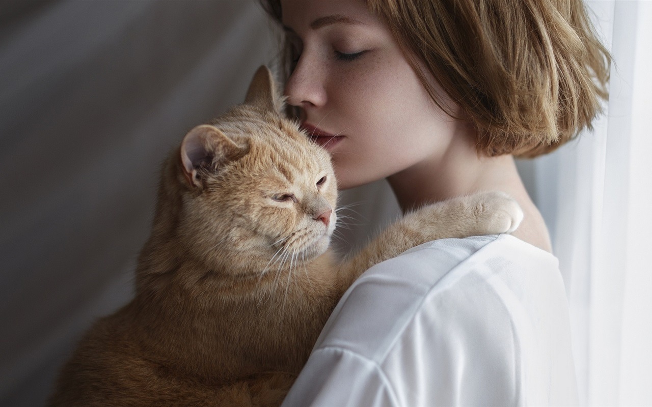 De ce pisicile se freacă de oameni: ce înseamnă acest lucru și când este un semn de avertizare.