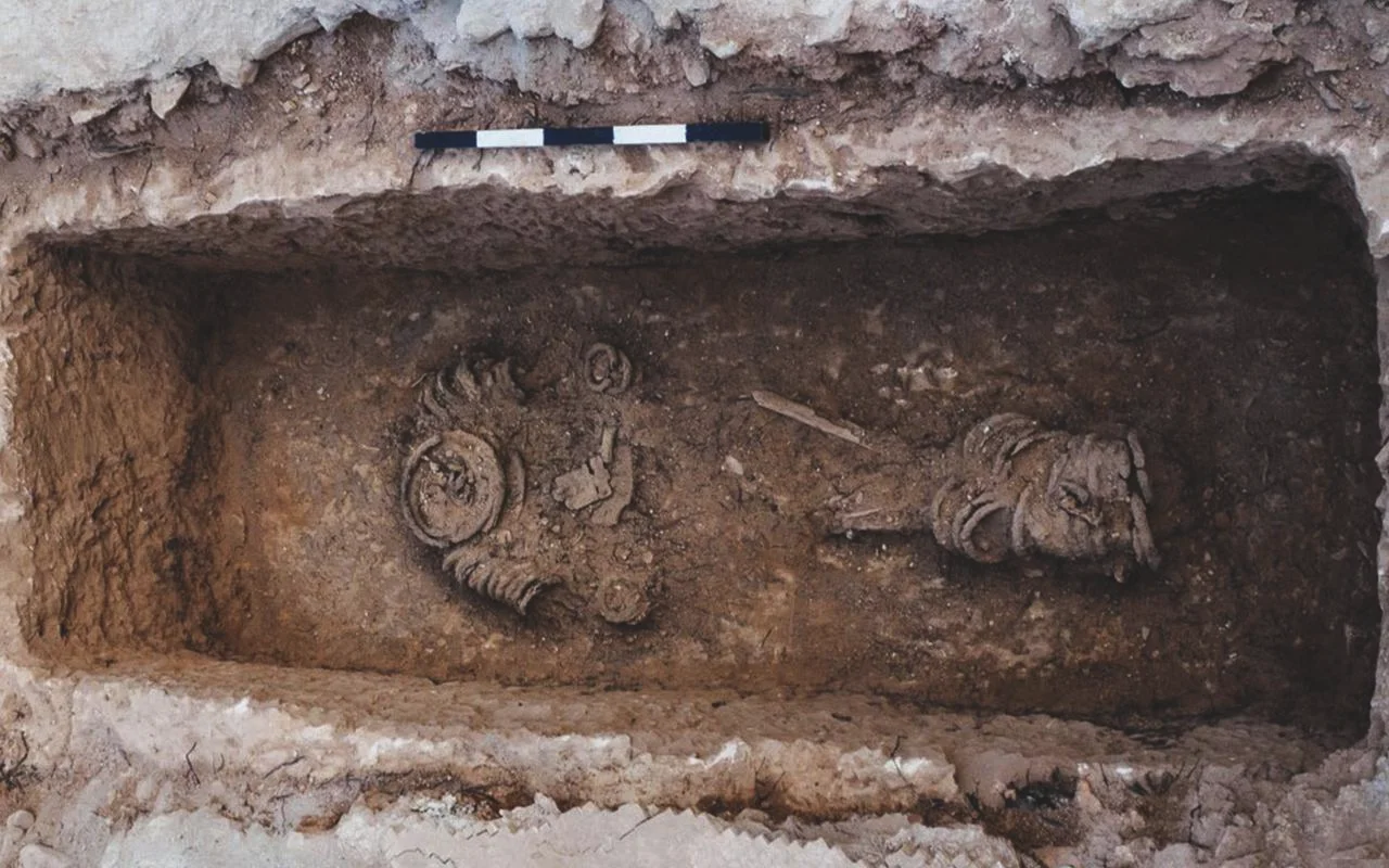 Christopher Ratte, arheolog: „Nimeni nu îngroapă comori din monede, mai ales din metale prețioase, fără intenția de a le recupera”.