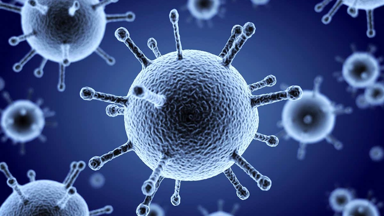 Analiza genetică a două schelete feminine găsite într-un mormânt paleolitic din Italia a permis diagnosticarea unei patologii osoase rare. Cum poate această descoperire să ajute la înțelegerea mecanismelor de transmitere a bolilor ereditare?