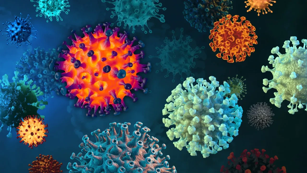 Analiza genetică a două schelete feminine găsite într-un mormânt paleolitic din Italia a permis diagnosticarea unei patologii osoase rare. Cum poate această descoperire să ajute la înțelegerea mecanismelor de transmitere a bolilor ereditare?