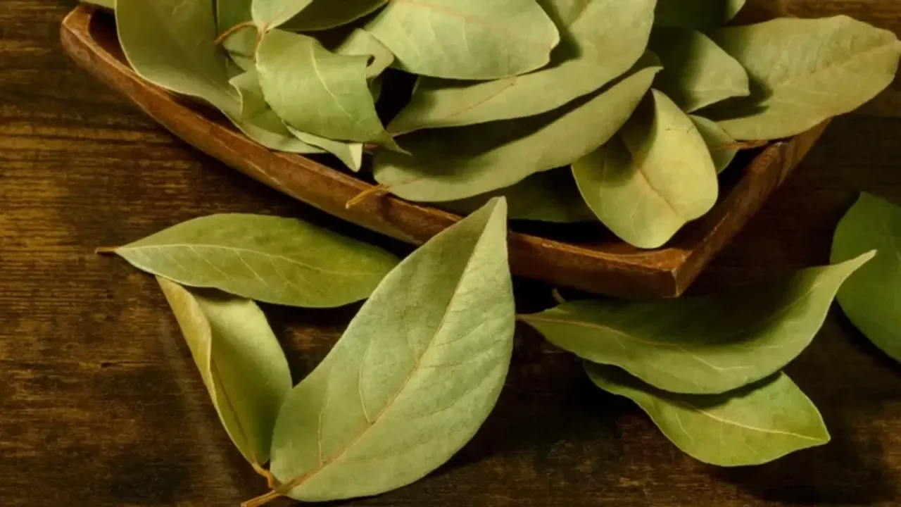 Amestecul de frunze de dafin și bicarbonat de sodiu: de ce este recomandat și la ce este util.