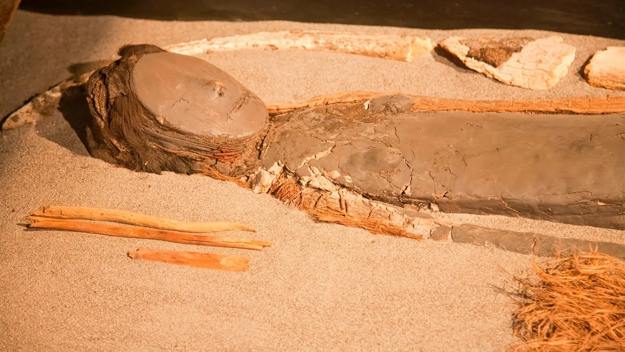 Mumiile preistorice din Atacama prezintă o particularitate anatomică neobișnuită: aceasta explică reducerea creierului după mii de ani de viață în deșert.