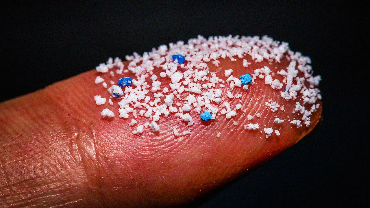 Legătura neașteptată între nanoplastice și conservarea virusurilor și bacteriilor în apa potabilă.