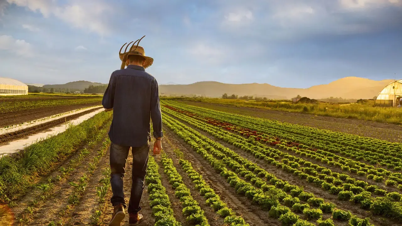 Un fermier din La Rioja a fost amendat cu 7500 de euro pentru prelevarea ilegală de apă pentru irigarea culturilor sale, deoarece susținea că „apa a fost întotdeauna prelevată din râu”.