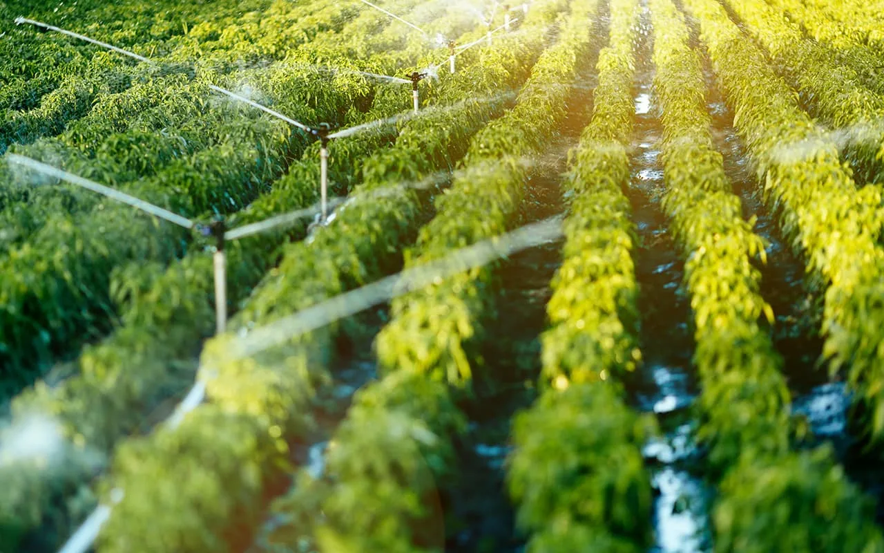 Un fermier din La Rioja a fost amendat cu 7500 de euro pentru că a preluat ilegal apă pentru irigarea culturilor sale, deoarece susținea că „apa a fost întotdeauna preluată din râu”.