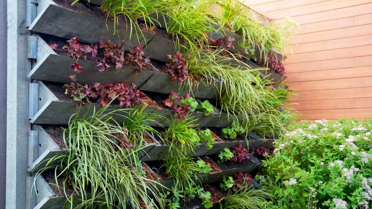 Cum să creezi o grădină verticală: noua tendință pentru balcoane