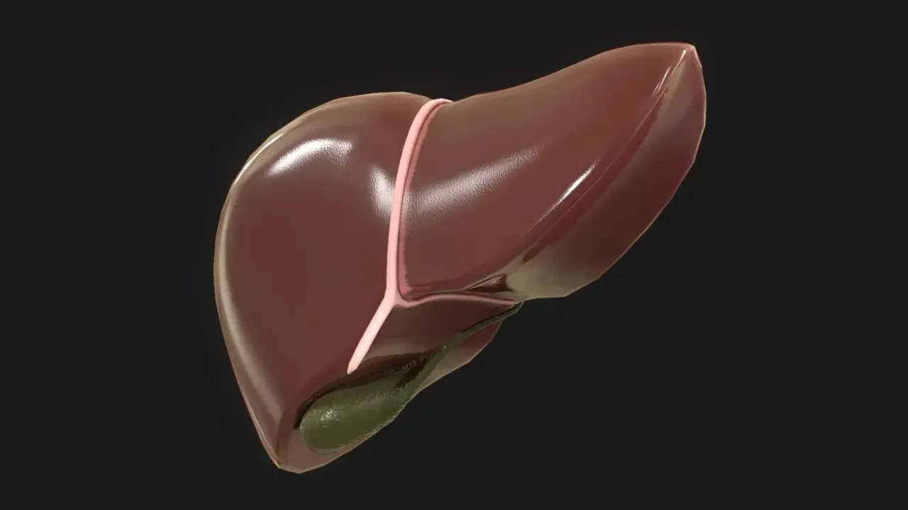 Cum funcționează ficatul și ce se poate face pentru a-i menține sănătatea?