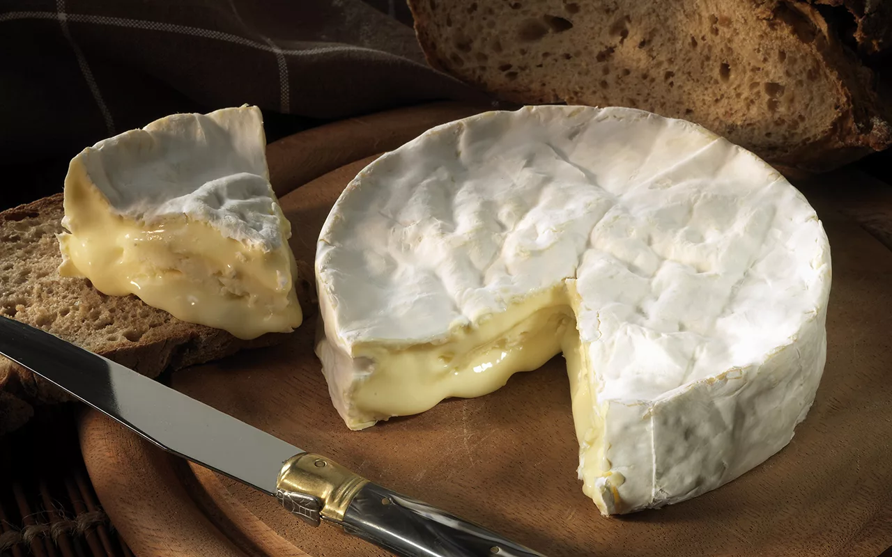 Nici dulce, nici sărat: gustul anului 2026 este umami... și este reprezentat de brânză.