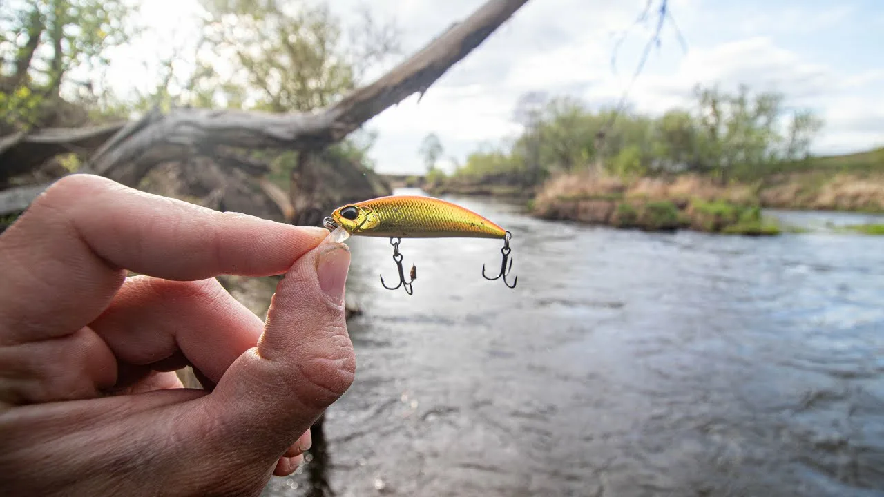 În râu au descoperit un copac la care erau atașate 78 de momeli în valoare totală de 600 de euro.