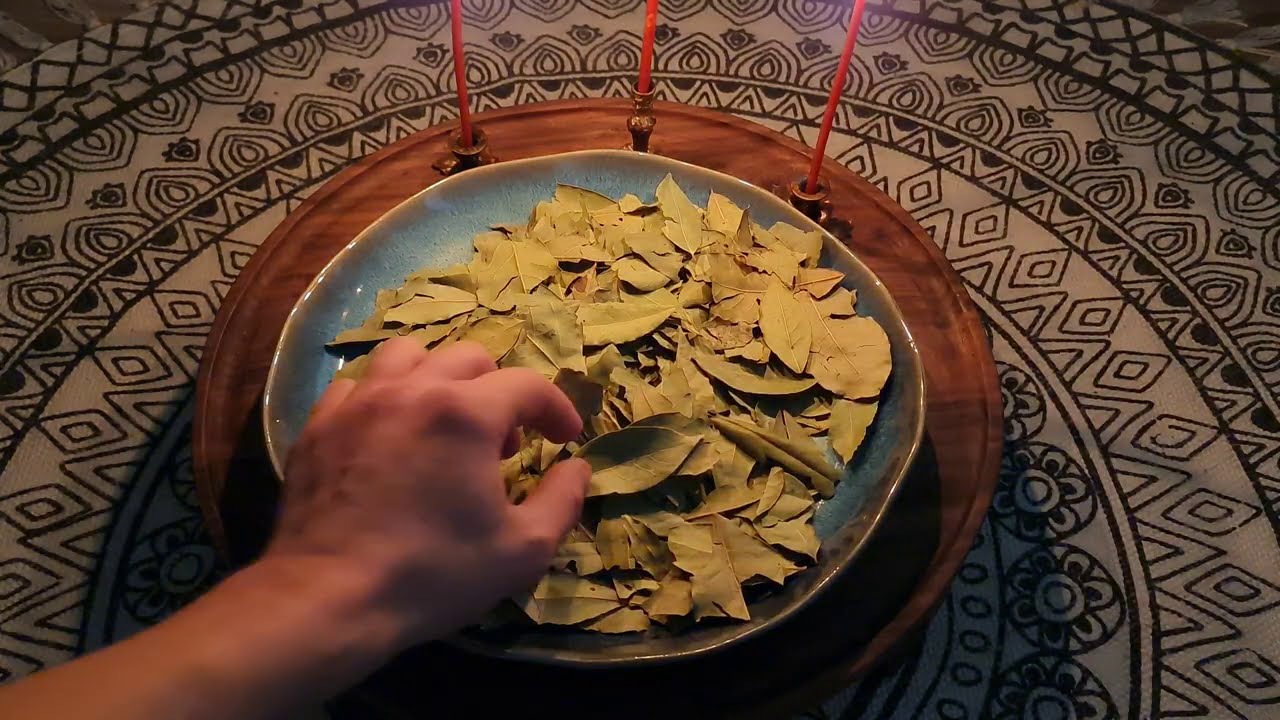 Unde, conform feng shui, ar trebui să așezi frunzele de dafin uscate pentru a atrage abundența în casă?