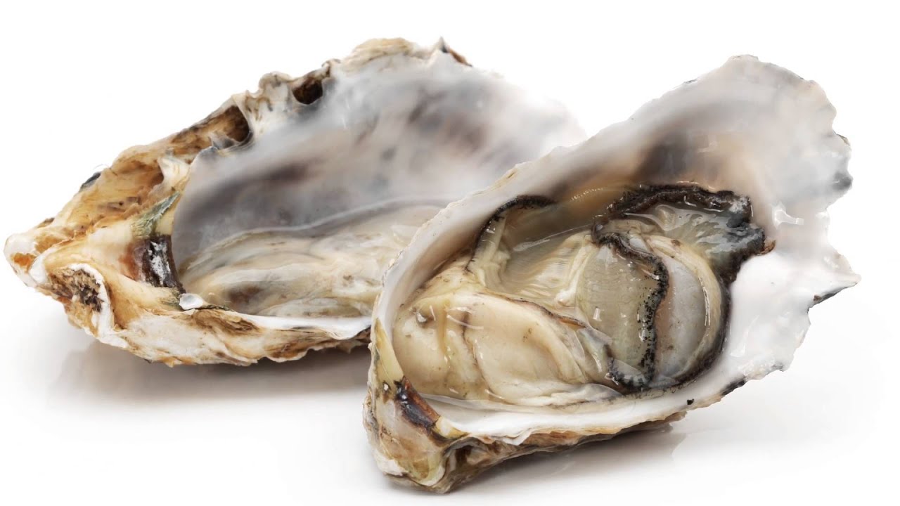 Sună ciudat, dar știința confirmă acest lucru: un animal care a trecut de la a fi o specie invazivă la a fi o resursă valoroasă și productivă.