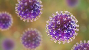 În India a fost declarată stare de alertă: au fost confirmate cinci cazuri de infectare cu virusul mortal Nipah în apropierea orașului Calcutta.