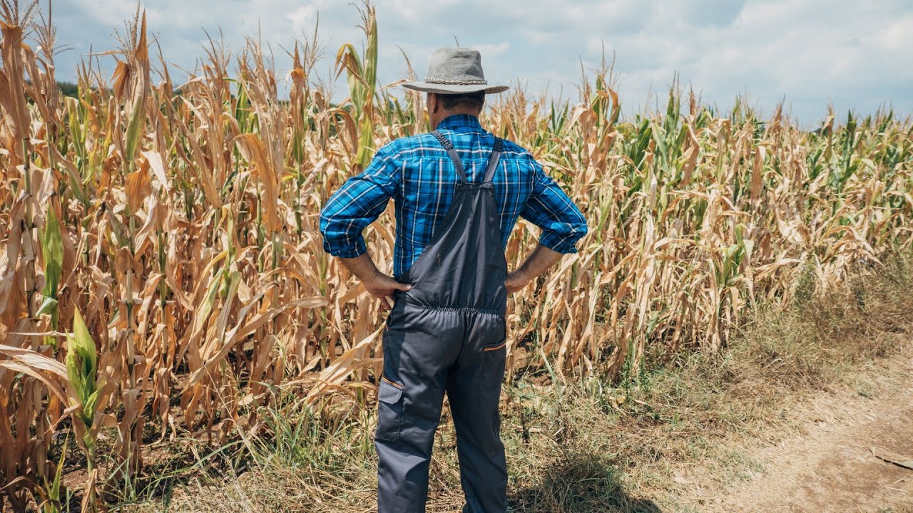 Un fermier din La Rioja a fost amendat cu 7500 de euro pentru prelevarea ilegală de apă pentru irigarea culturilor sale, deoarece susținea că „apa a fost întotdeauna prelevată din râu”.