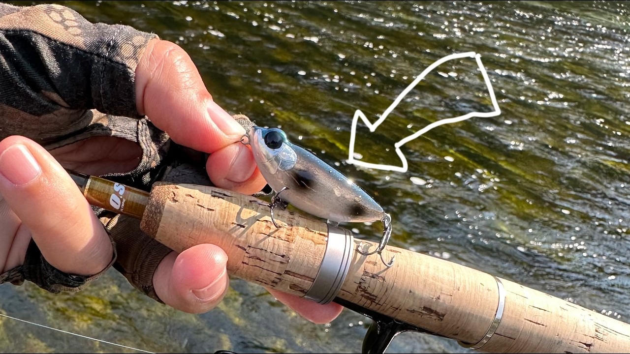 În râu au descoperit un copac la care erau atașate 78 de momeli în valoare totală de 600 de euro.