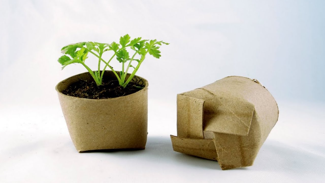 Reciclare: Păstrați tuburile goale de carton de la hârtia igienică și transformați-le în ghivece biodegradabile pentru plantele dvs.