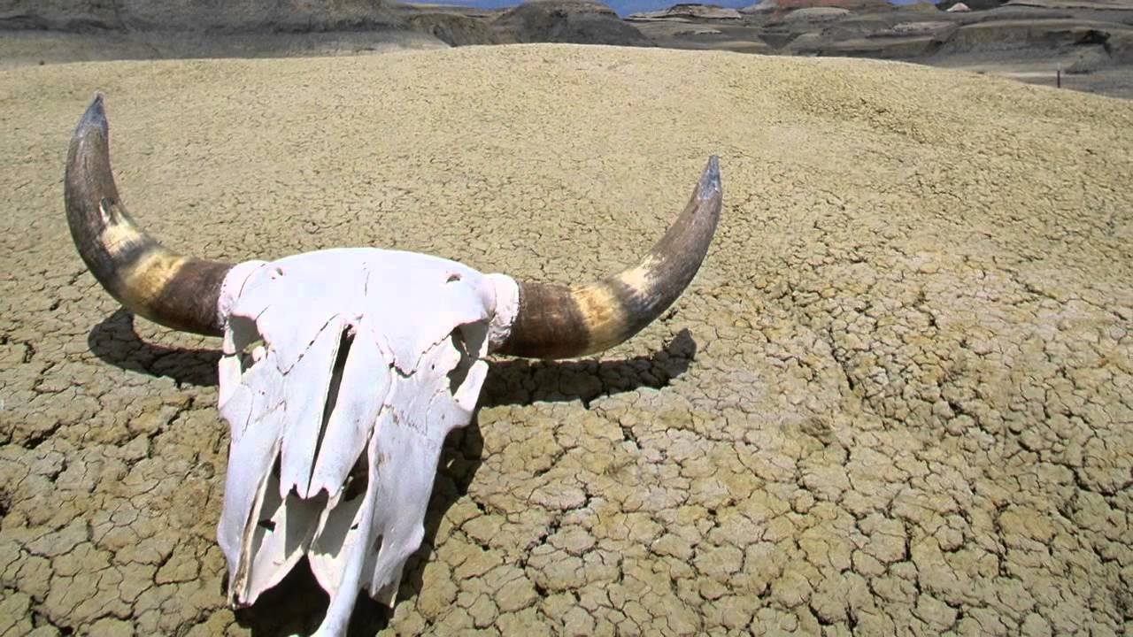 Temperatura în Sahara a ajuns la 70 °C, miliarde de copaci au murit și doar o singură metodă a reușit să împiedice dispariția vieții în deșert.