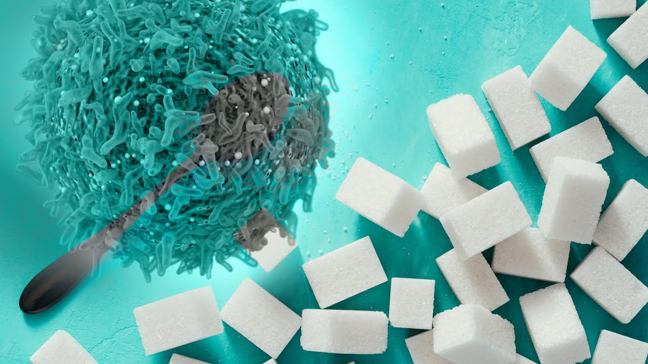 Otto Warburg, laureat al Premiului Nobel pentru medicină: „Zahărul este principalul combustibil pentru celulele bolnave”.