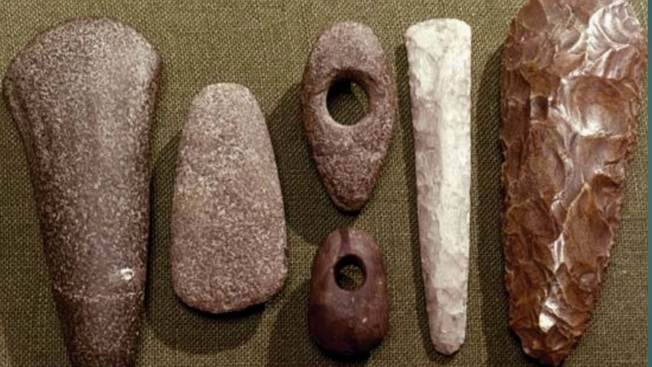 Alexander, în vârstă de 11 ani, și bunicul său găsesc întâmplător pe terenul lor un tezaur arheologic vechi de 450 000 de ani.