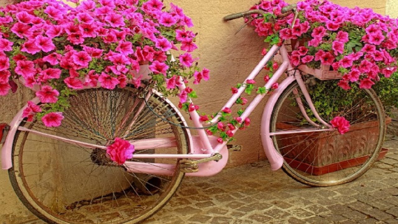 Dacă aveți acasă o bicicletă veche, înseamnă că aveți un adevărat tezaur: două noi moduri de a o folosi, care îi conferă valoare.