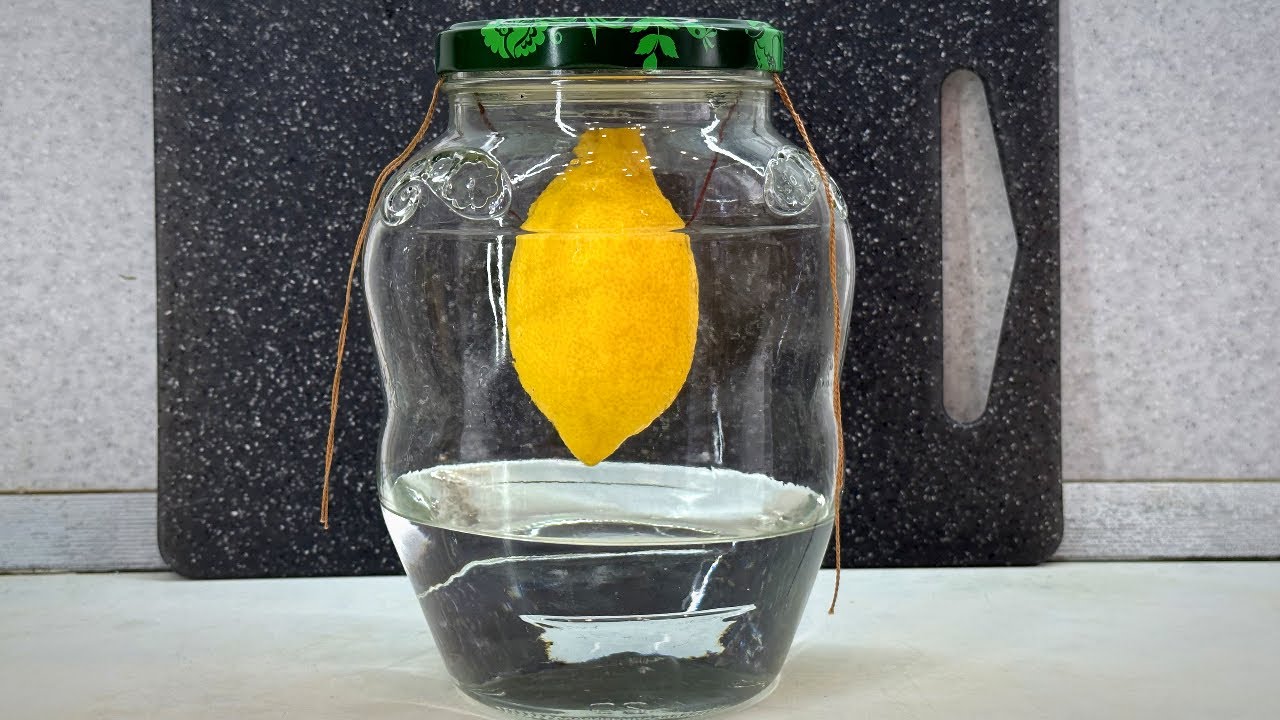 Această metodă casnică va înlocui odorizantele chimice. Tot ce aveți nevoie este un lămâie.