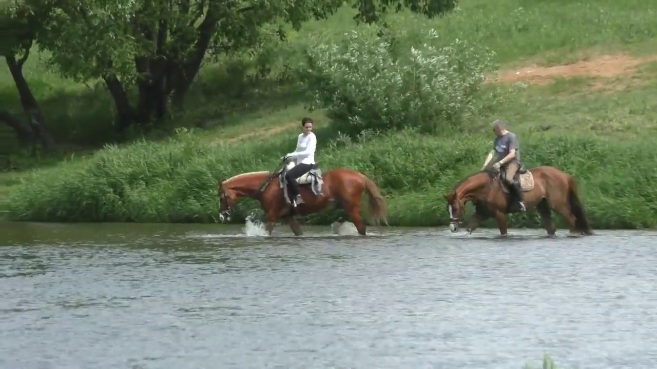 De ce nu se poate călări pe cal lângă râu?