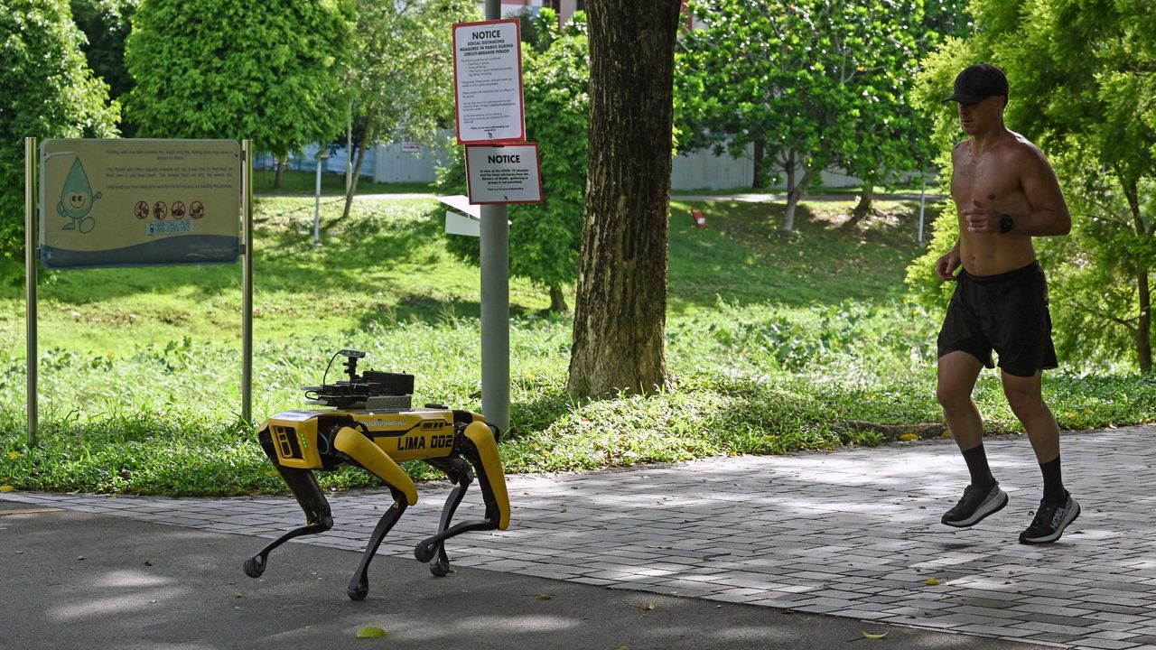 „Câinii-roboți” din Hong Kong au acum o nouă sarcină: să aibă grijă de mediul înconjurător al orașului.