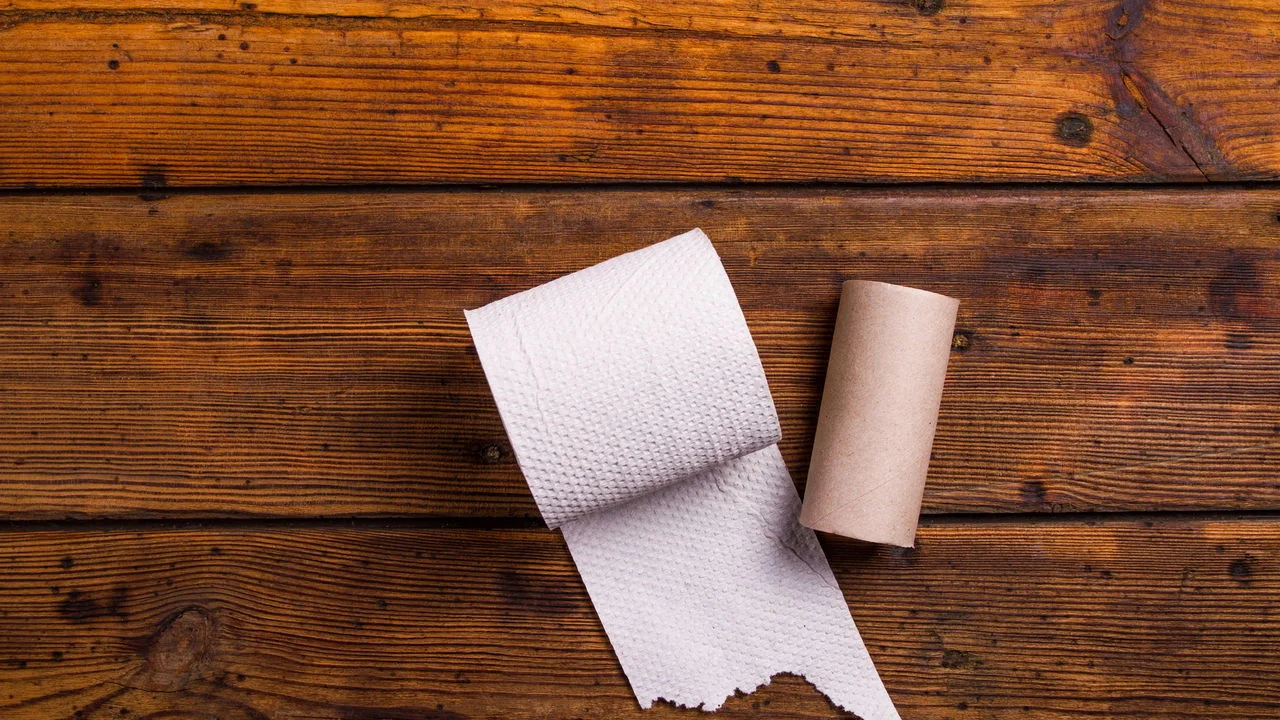 Zilele hârtiei igienice sunt numărate: aceasta va fi înlocuită, și nu are egal.