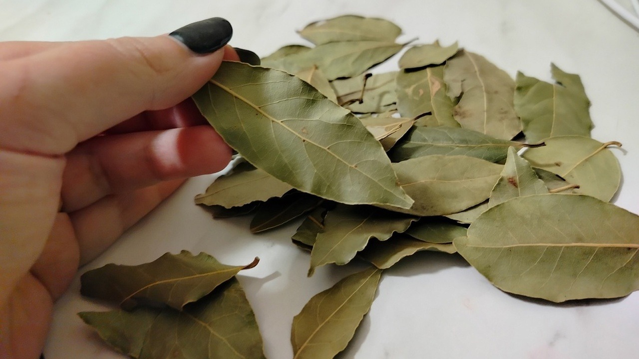 Amestecul de frunze de dafin și bicarbonat de sodiu: la ce este util și de ce este recomandat.