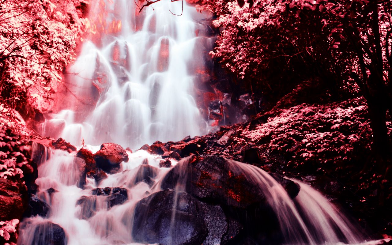 Cascadele sângerii: cum acest fenomen incredibil din Antarctica a fascinat oamenii de știință de-a lungul unui secol.