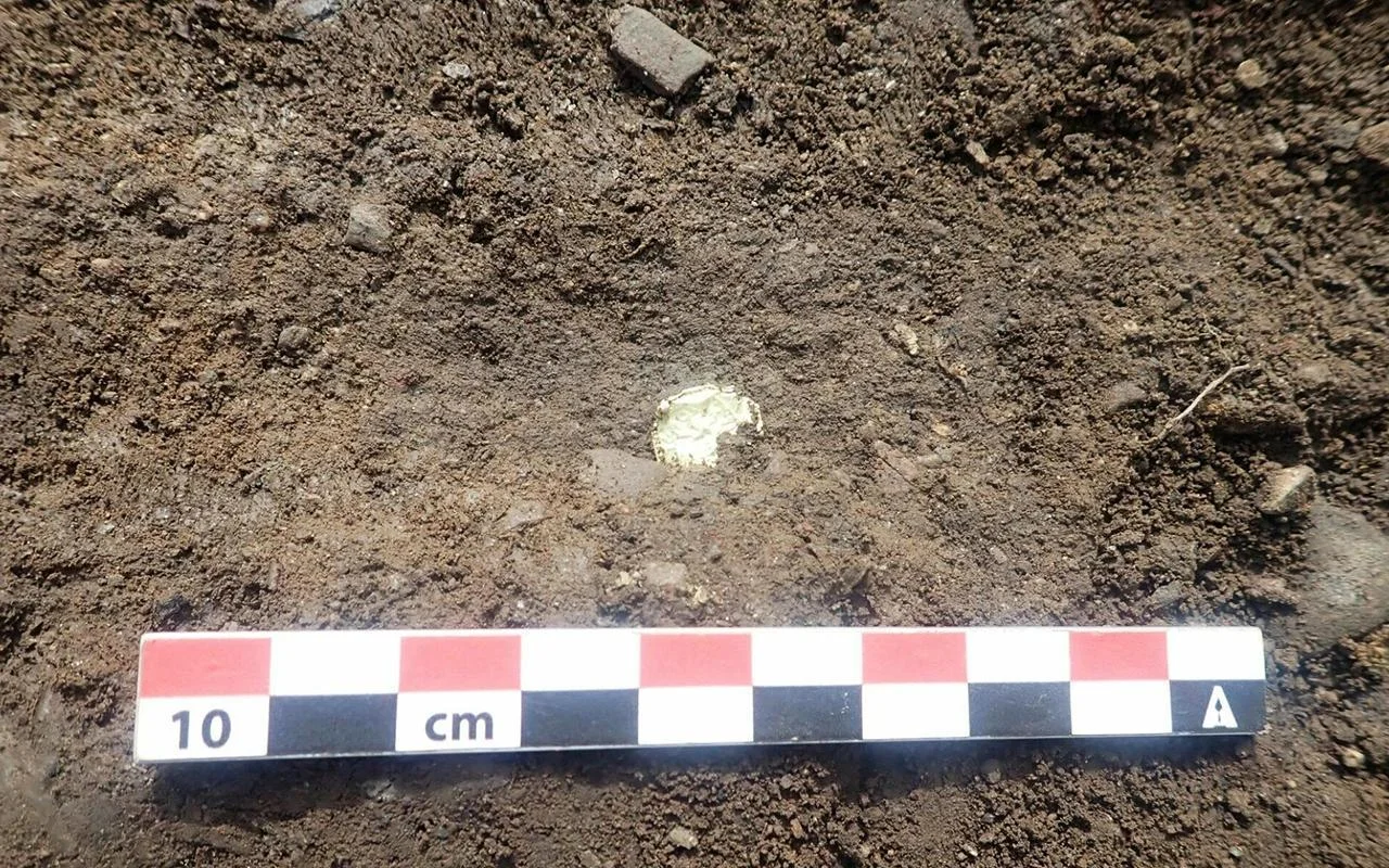 Descoperirea mileniului | Monede și lingouri de aur, descoperite într-un câmp cultivat, aparținând unei singure țări.